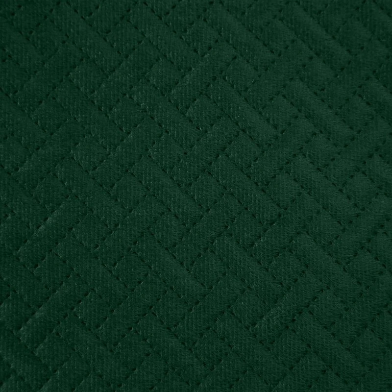 SI/N/LUIZ/5/ZIE 170X210 ZIEL